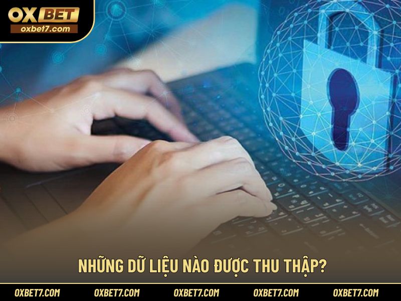 Các nhóm thông tin thường được ghi nhận