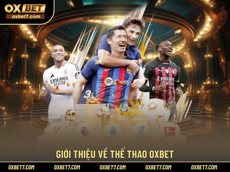 Giới thiệu khái quát về dịch vụ thể thao OXBET