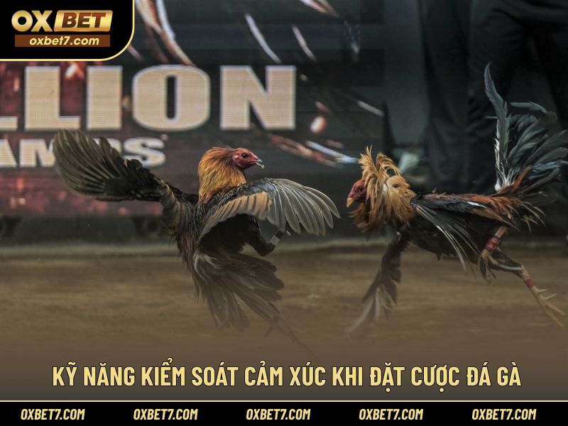 Giữ tâm lý ổn định khi áp dụng mẹo cược đá gà online