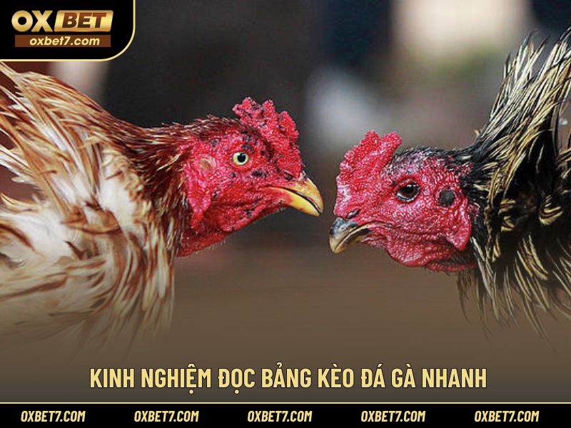 Hiểu bảng kèo để chọn hướng cược hợp lý