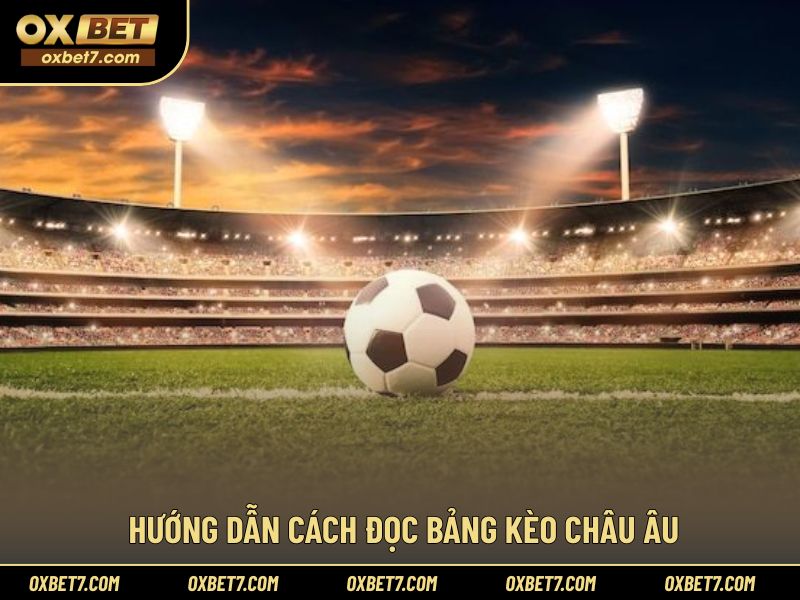 Hướng dẫn thao tác đọc bảng tỷ lệ hiệu quả