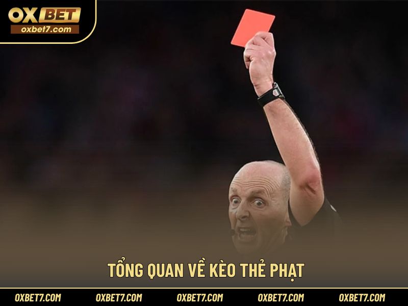 Khái quát cơ chế hoạt động của kèo thẻ