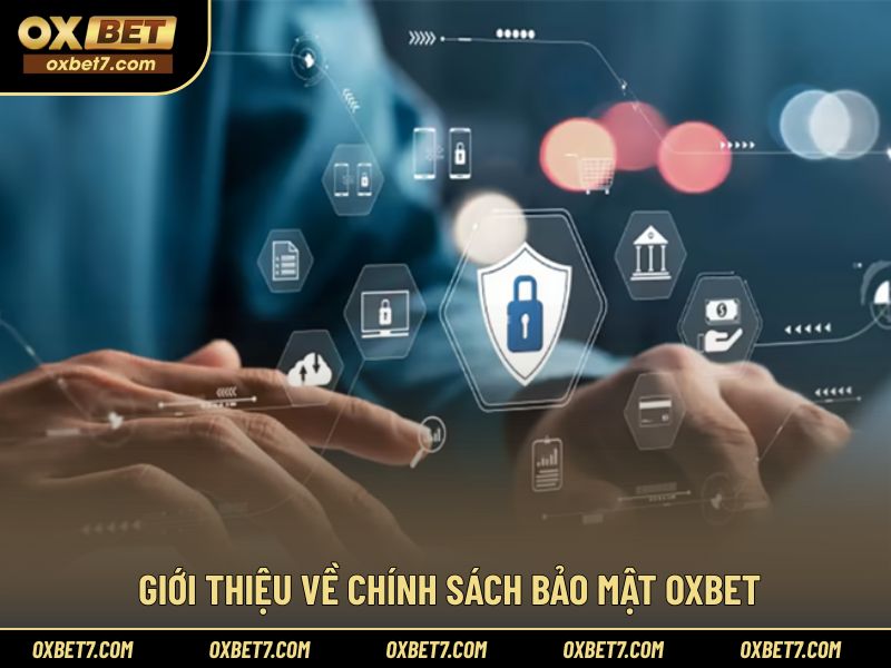 Khái quát định hướng quản lý dữ liệu