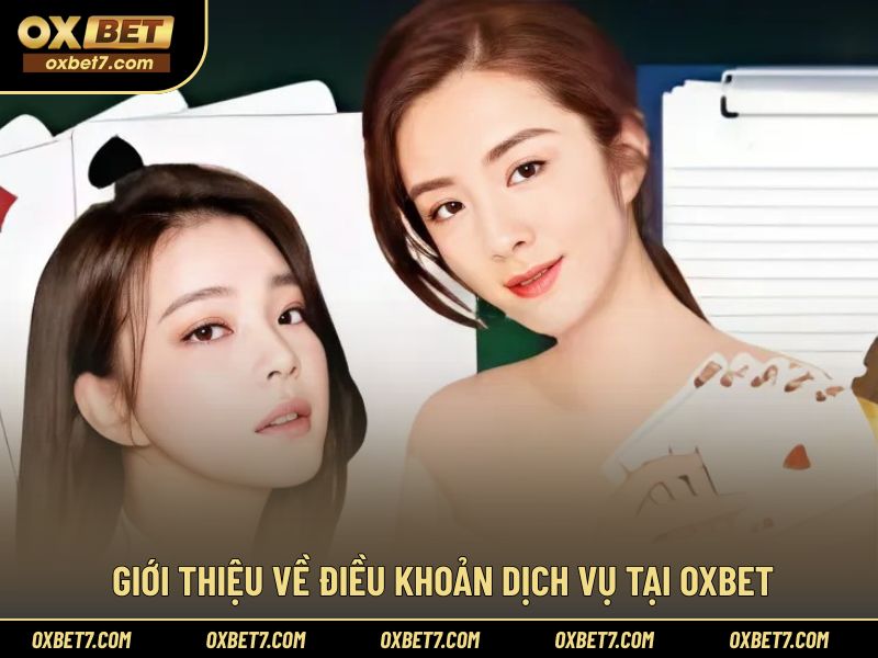 Khái quát nội dung điều khoản áp dụng