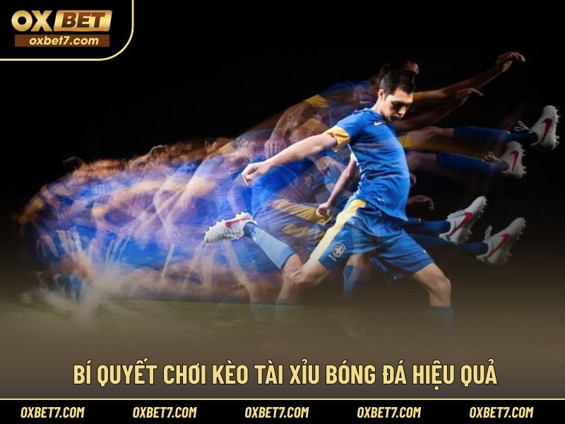 Kinh nghiệm thực tế giúp nâng cao hiệu quả áp dụng