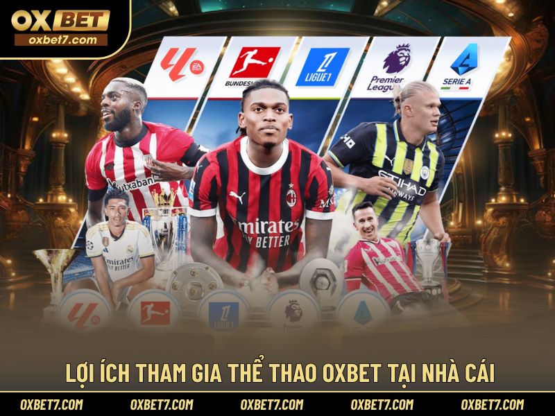 Vì sao nên tham gia cá cược thể thao tại OXBET?