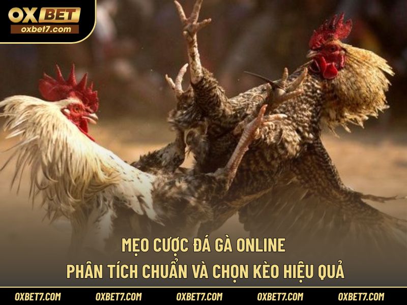 Mẹo cược đá gà online