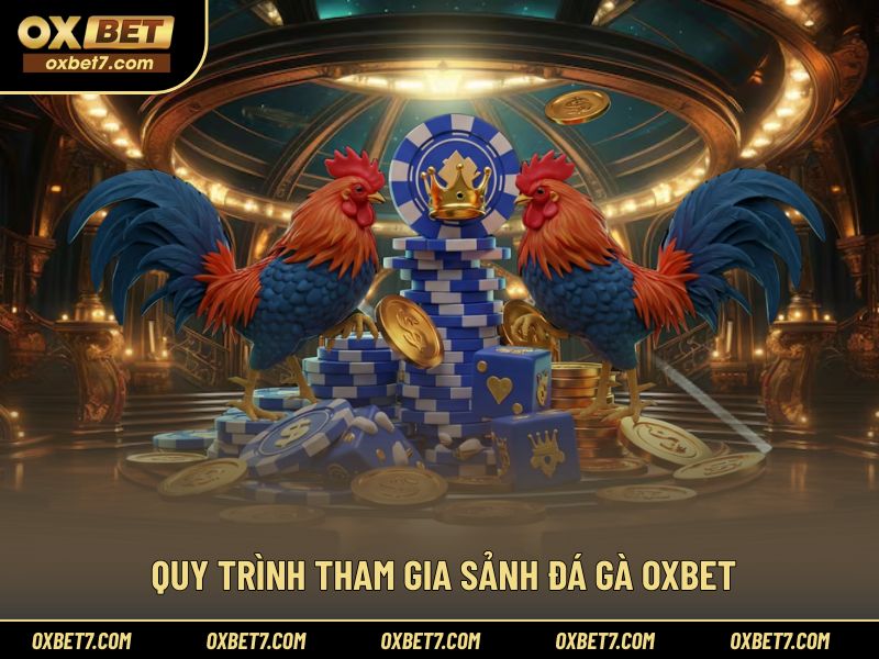 Cách tham gia sảnh đá gà OXBET chi tiết