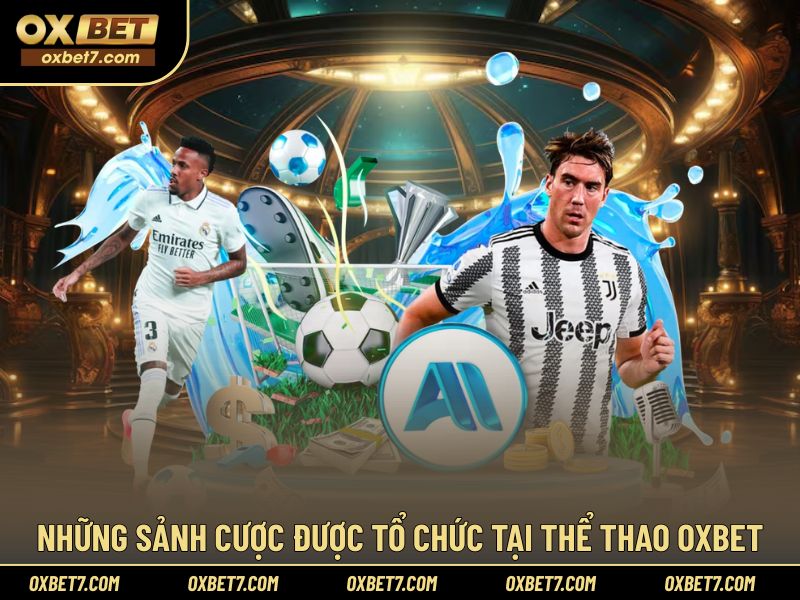 Tổng hợp các sảnh cược thể thao được tổ chức tại OXBET