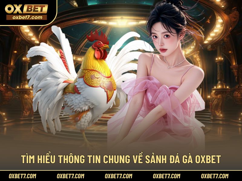 Khái quát những thông tin chung của sảnh đá gà OXBET